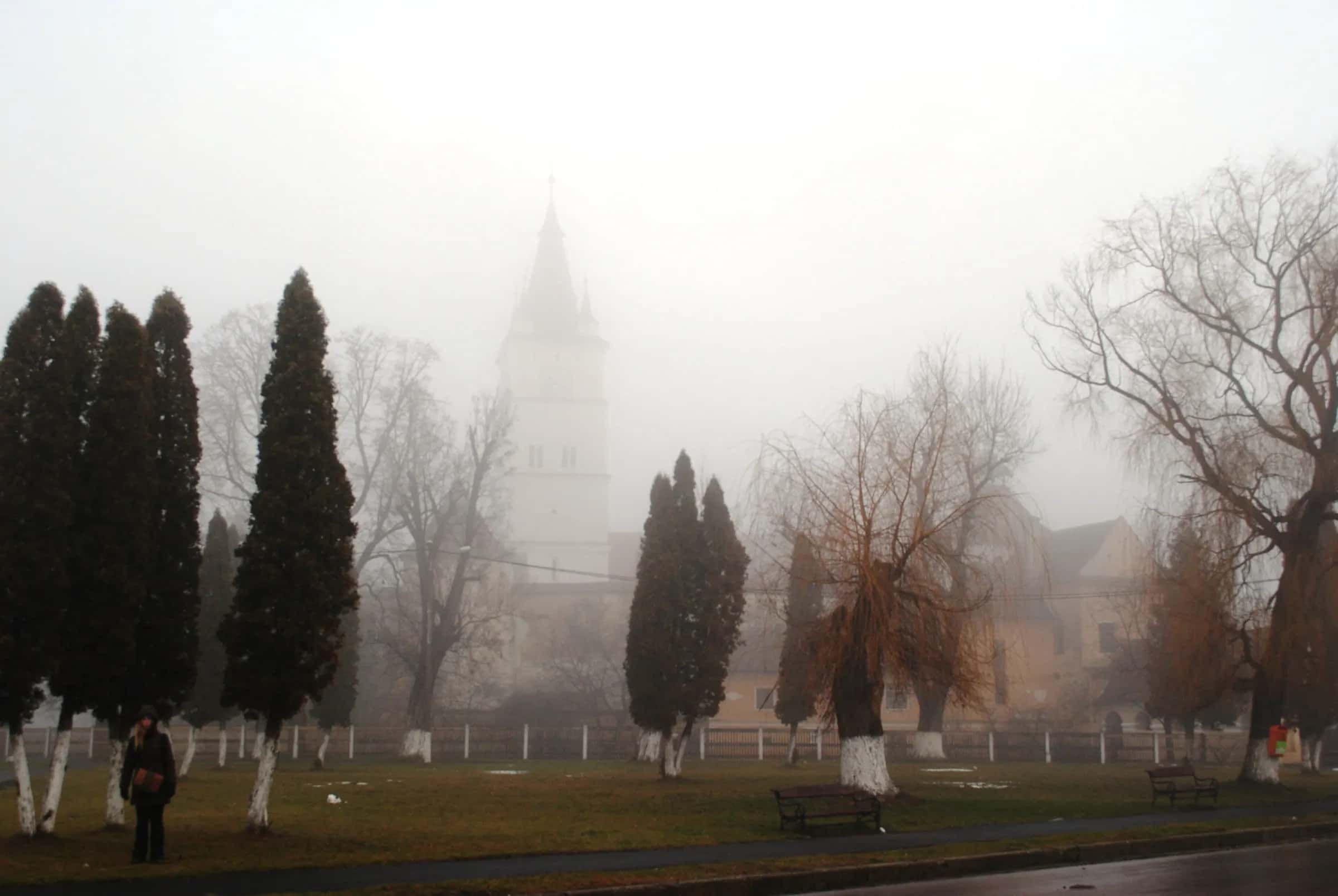 The Hărman church tower fading into morning fog behind cypress trees